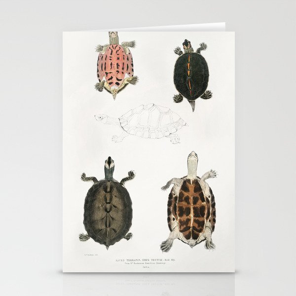 Eaved Terrapin Stationery Cards