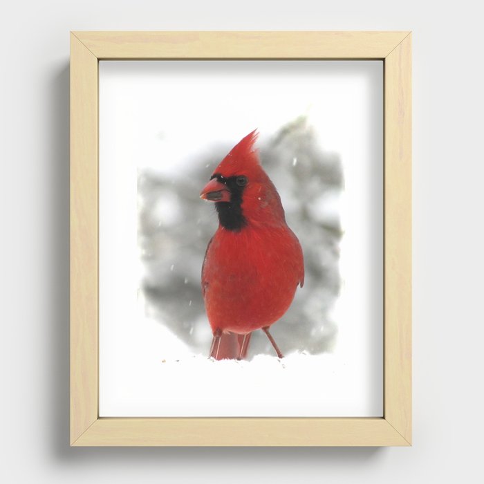 Northern Cardinal Recessed Framed Print