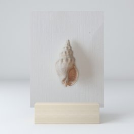 White seashell Mini Art Print