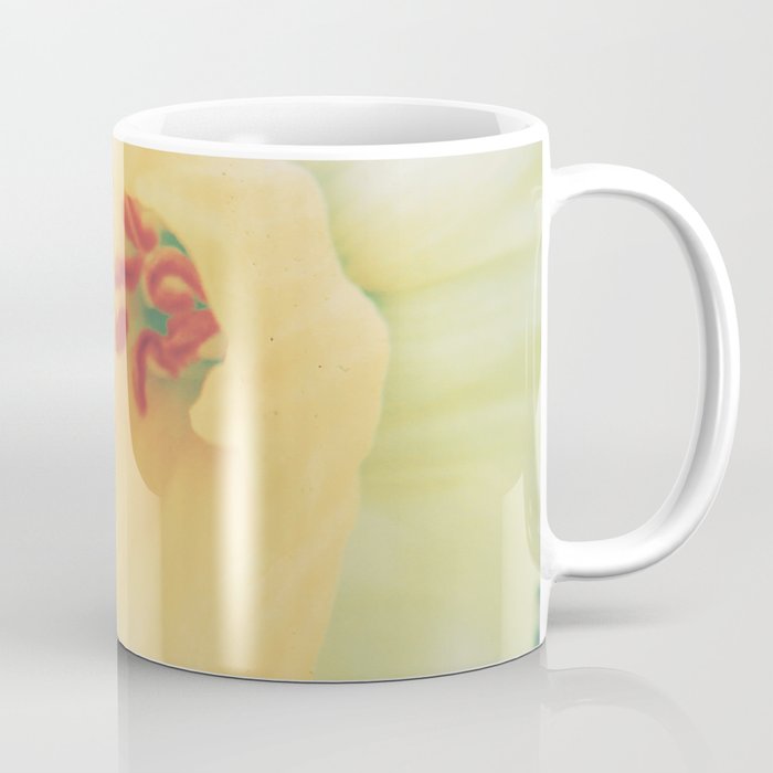 Closeup Narcissus 5 Coffee Mug