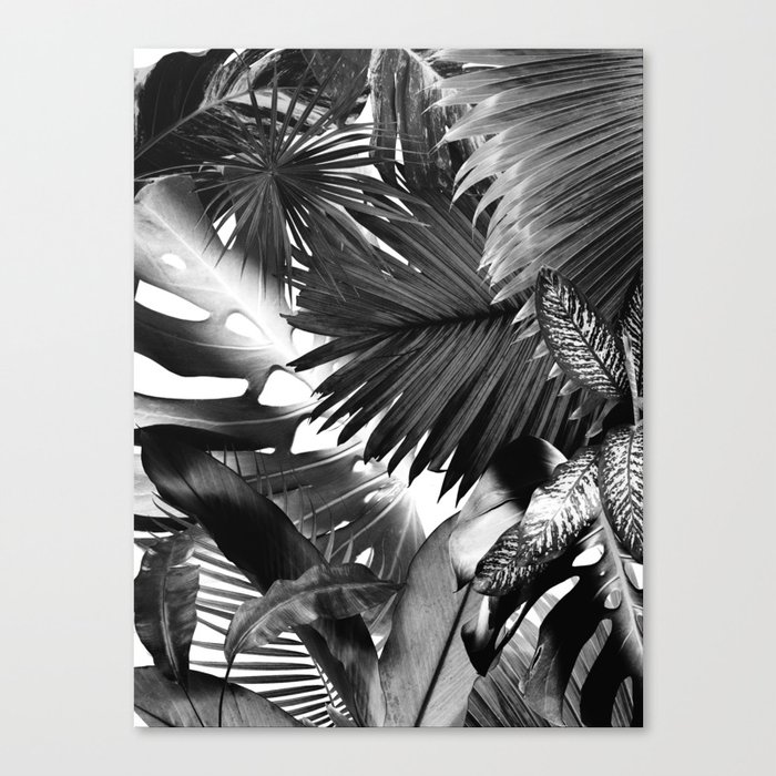 Dushi Jungle Bliss #3 #tropical #decor #art #society6 Canvas Print
