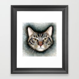 Cat #1 (Xavier) Framed Art Print