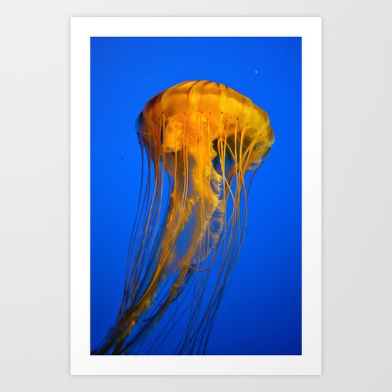 Jellyfish Art Print