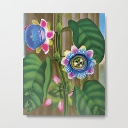 The Quadrangular Passion Flowers Metal Print | Painting, Oil, Vintage, Art, Garden, Color, Flowers, Retro, Green, Nature 