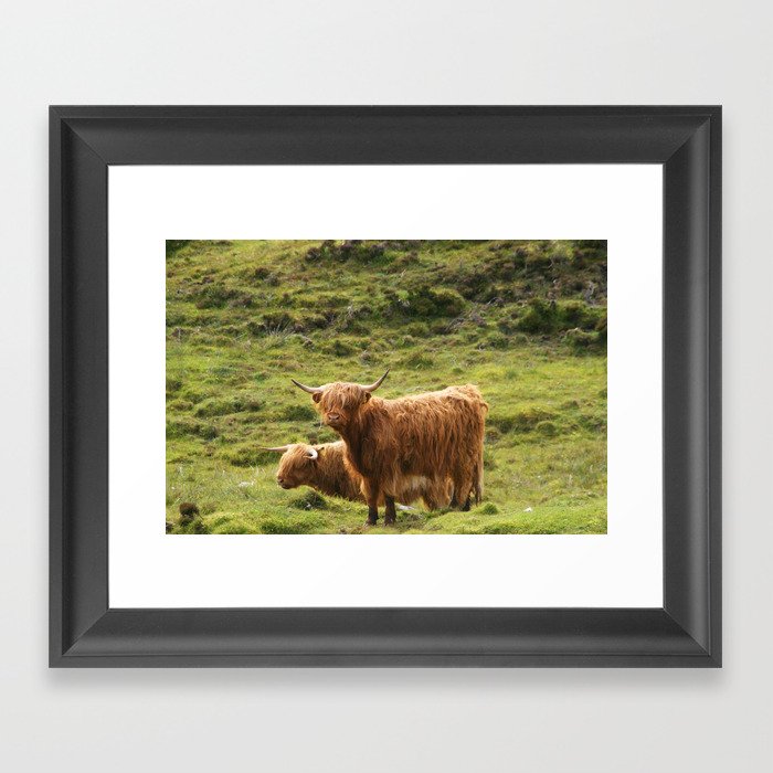 Highland Cows Framed Art Print