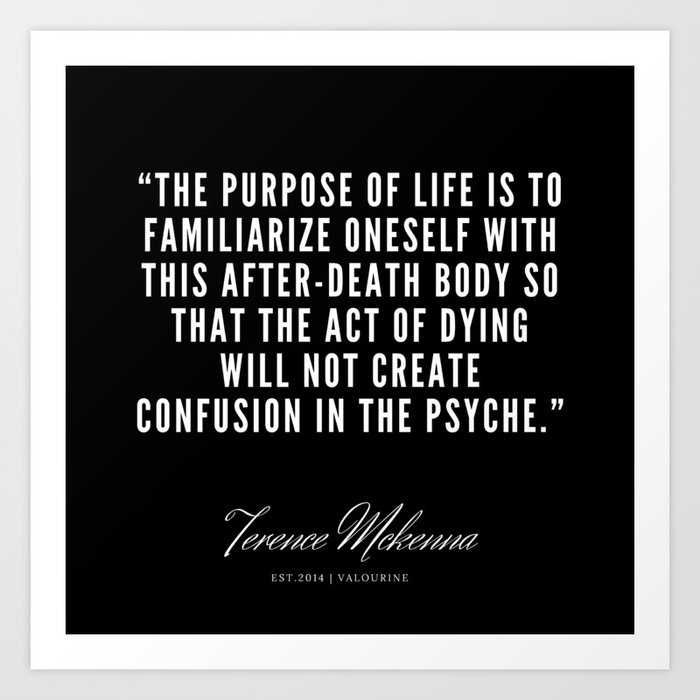 11 Terence Mckenna Quote 190516 Art Print By Quotesandsayings Society6