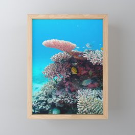 Sea Fish Framed Mini Art Print