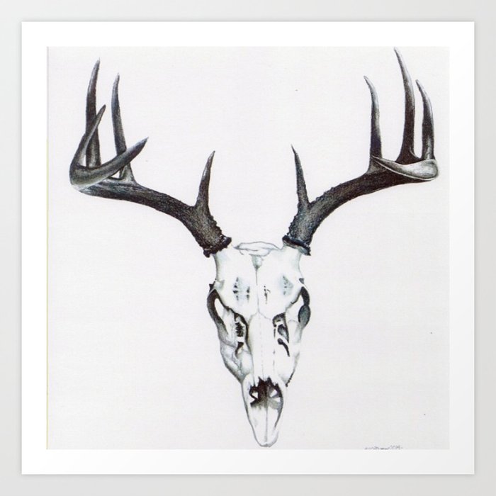 whitetail skull Art Print