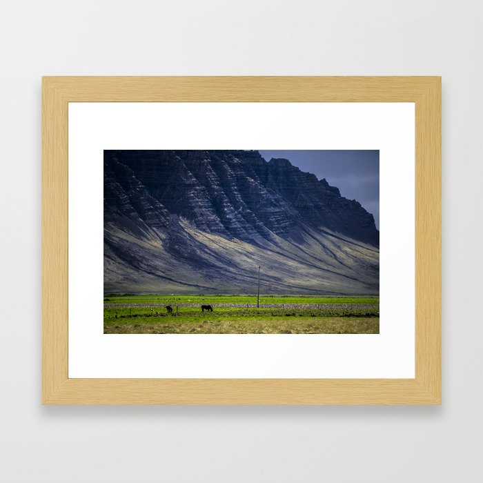 Grazing Horses - Iceland Framed Art Print