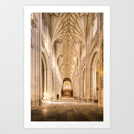 The Cathedral Art Print