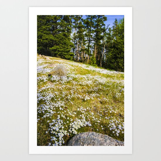 Acadia Spring (Maine) Art Print