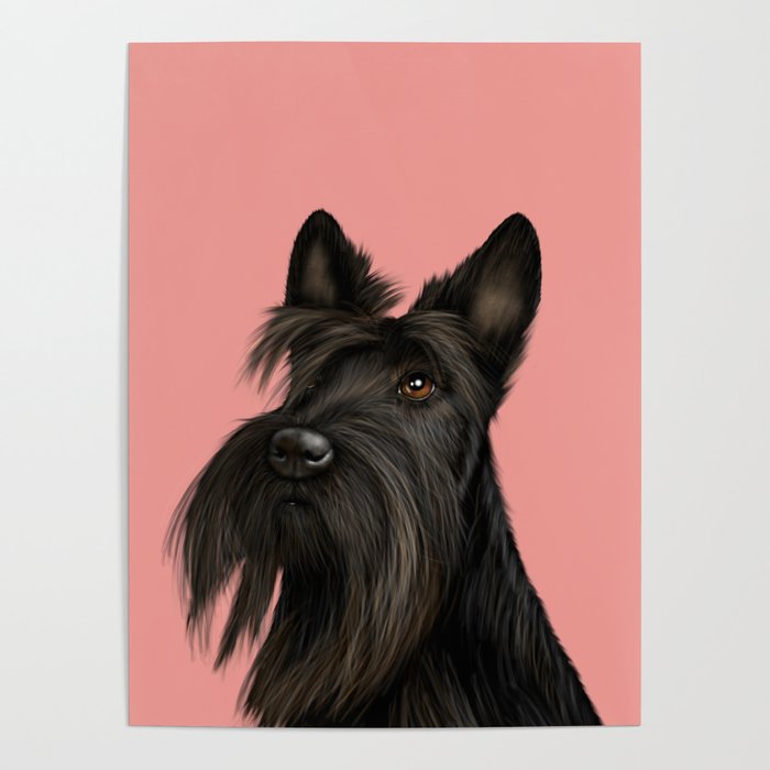 Scottish Terrier (Scotty Dog) - Pink Poster