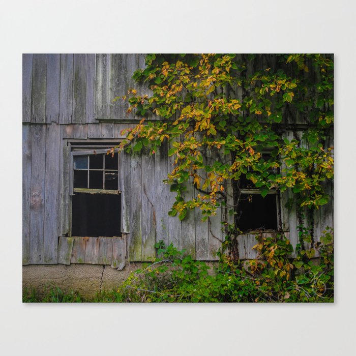 Autumn Windows Canvas Print
