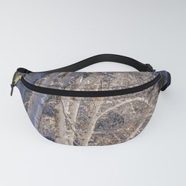 Magical  Fanny Pack