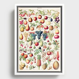 Adolphe Millot - Fruits pour tous - French vintage poster Framed Canvas