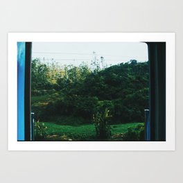 Lankan Art Prints Society6