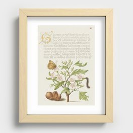 Vintage calligraphic art with green plants Recessed Framed Print