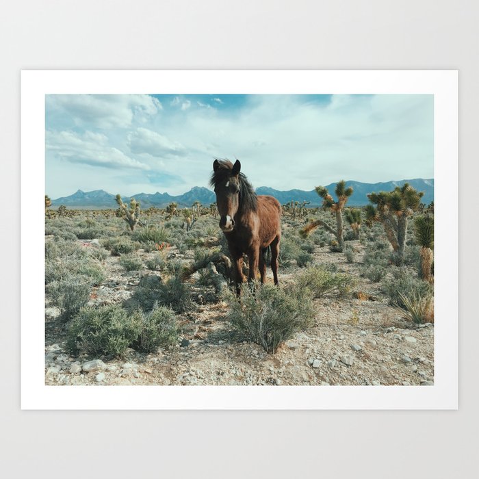 Nevada Desert Horse Art Print