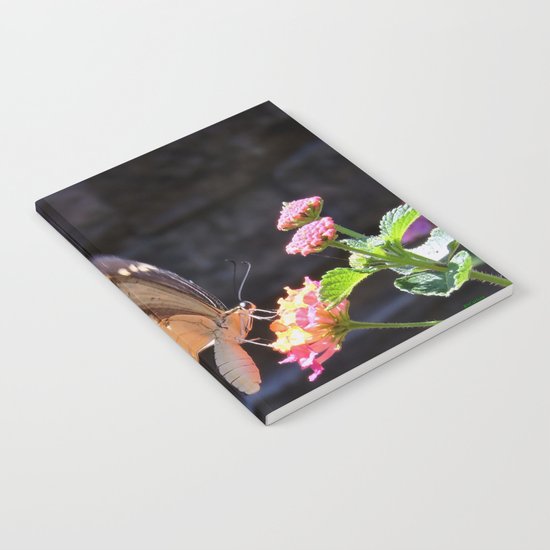 Swallowtail Overexposed Notebook