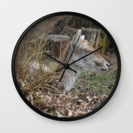 Deer at Knoll Park, Kent Wall Clock