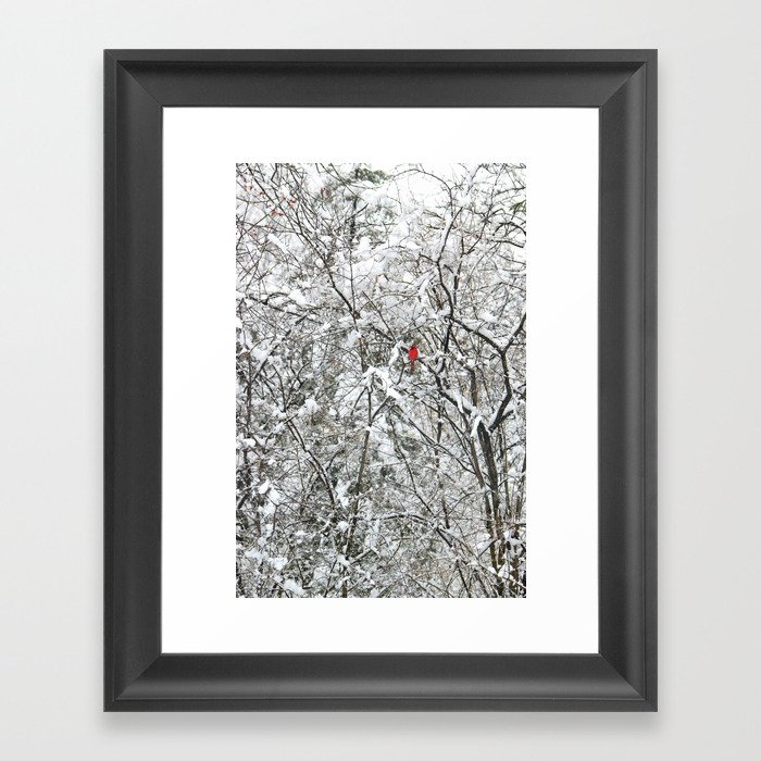 Bright Cardinal in the Snowy Woods Framed Art Print