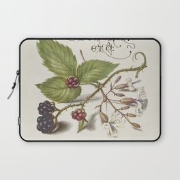 Vintage calligraphy blackberries Laptop Sleeve