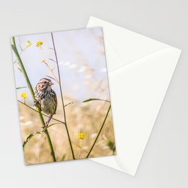 Song Sparrow Stationery Cards
