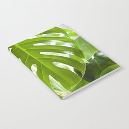 Monstera Deliciosa I  |  The Houseplant Collection Notebook