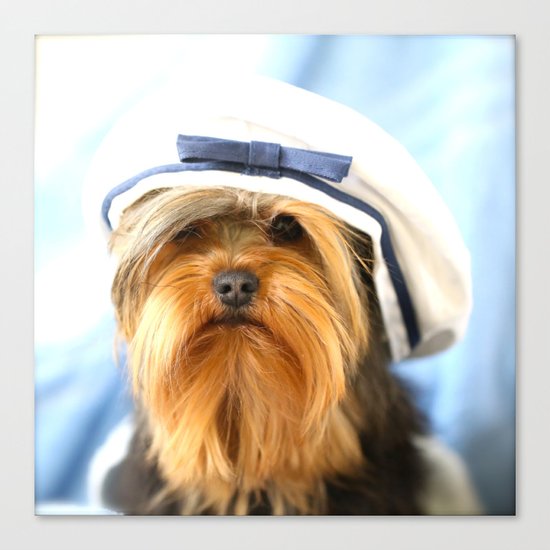 Little Sailor Canvas Print