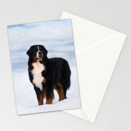 Bernese Mountain dog Wall art Stationery Cards