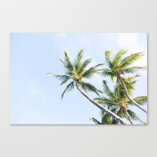 Palm trees Canvas Print