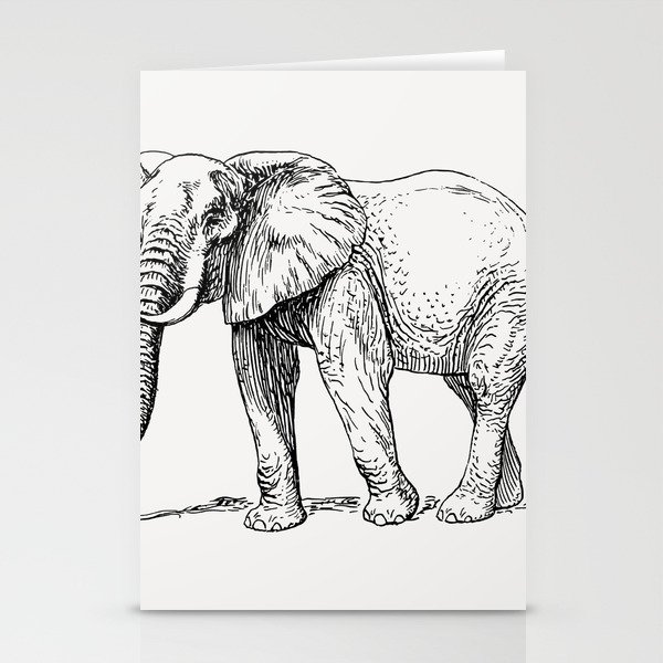 Elephant Illustration Stationery Cards
