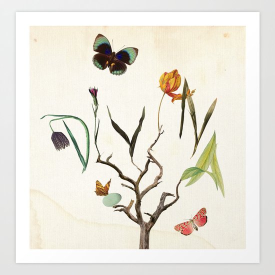 Divina Art Print