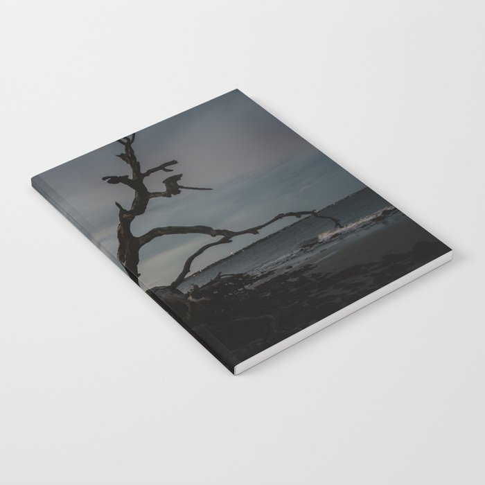 Driftwood Beach on Jekyll Island Notebook