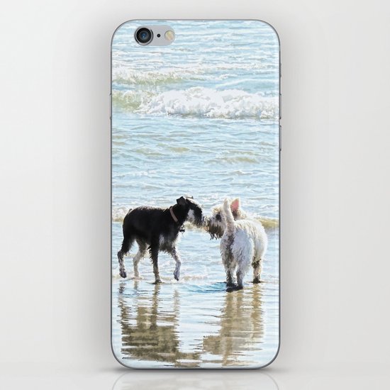 Sweet Meet iPhone & iPod Skin