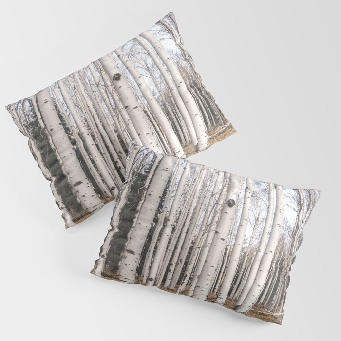 Trees of Reason - Birch Forest Pillow Sham