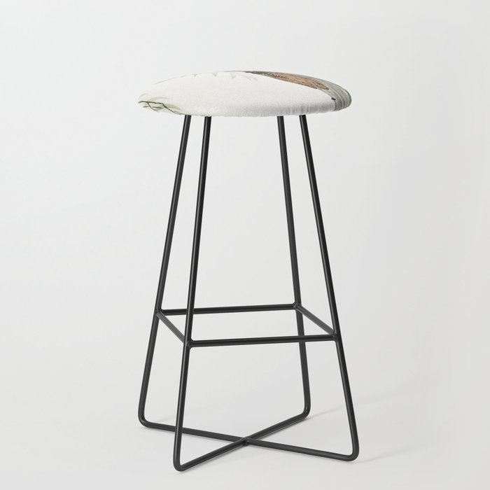 Bar Stool