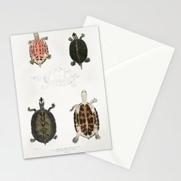 Eaved Terrapin Stationery Card