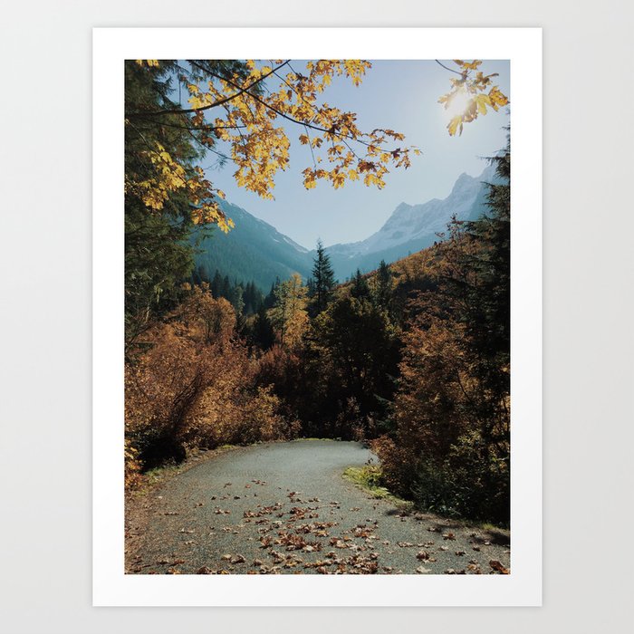 Washington Fall Rd Art Print