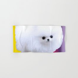 An Adorable And Cute Pomeranian Puppy On Colorful Back ground Sticker Magnet Tshirt And More Hand & Bath Towel