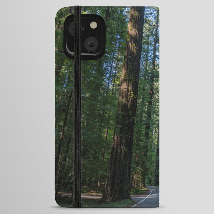 Avenue of the Giants iPhone Wallet Case