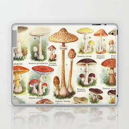 Mushroom illustration Larousse - French vintage poster Laptop Skin