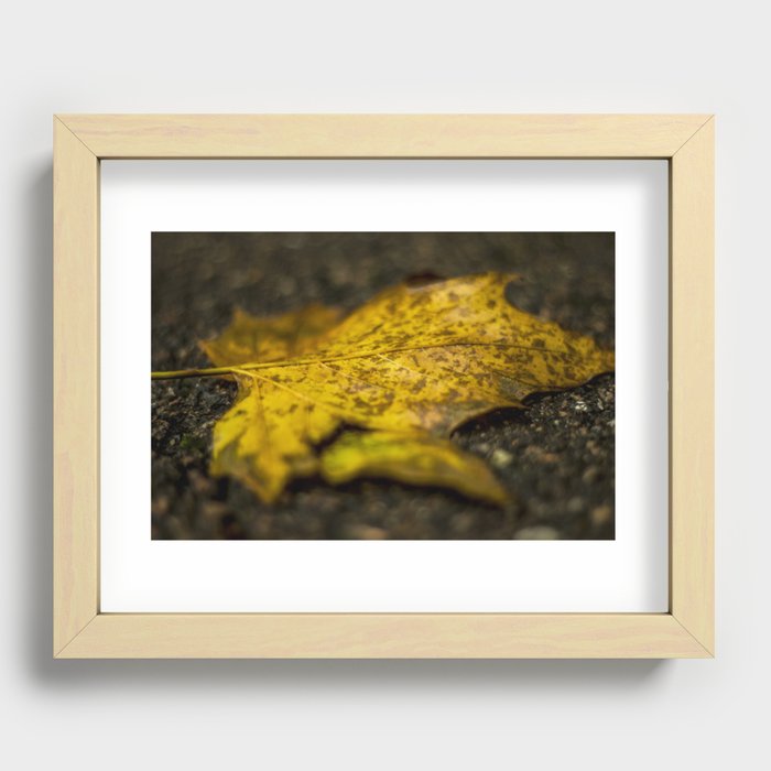 Autumn Leaf Recessed Framed Print