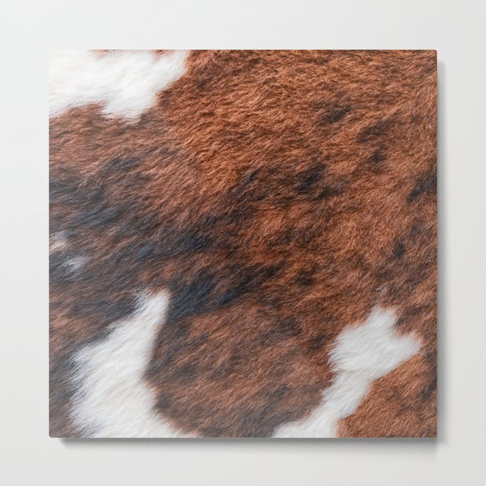 Brown and White Cow Skin Print Pattern Modern, Cowhide Faux Leather Metal Print