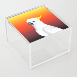 Sunset Cockatoo Acrylic Box