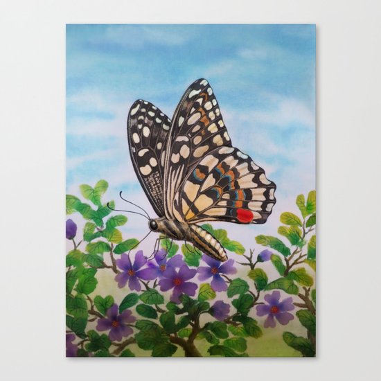 Chequered swallowtail Canvas Print