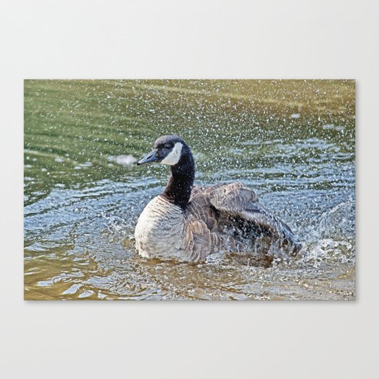 Splashing Time Canvas Print