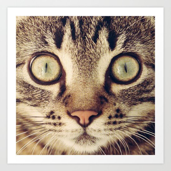 Cat Art Print