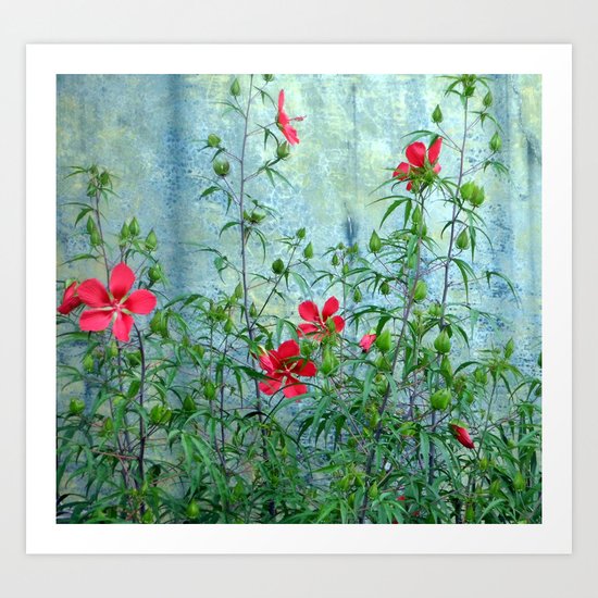 Wall Flowers Art Print