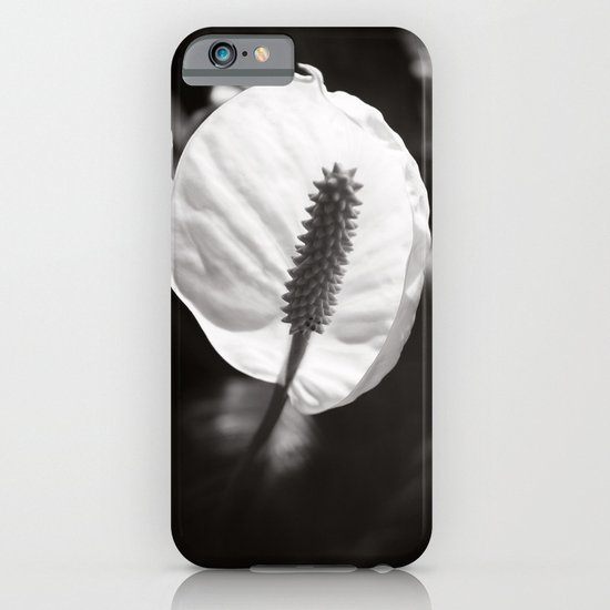 Secret Garden ~ No.2 iPhone & iPod Case